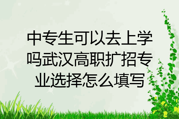 中专生可以去上学吗武汉高职扩招专业选择怎么填写