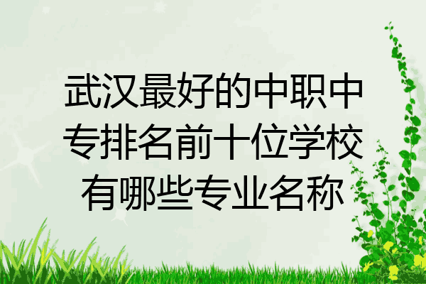 武汉最好的中职中专排名前十位学校有哪些专业名称
