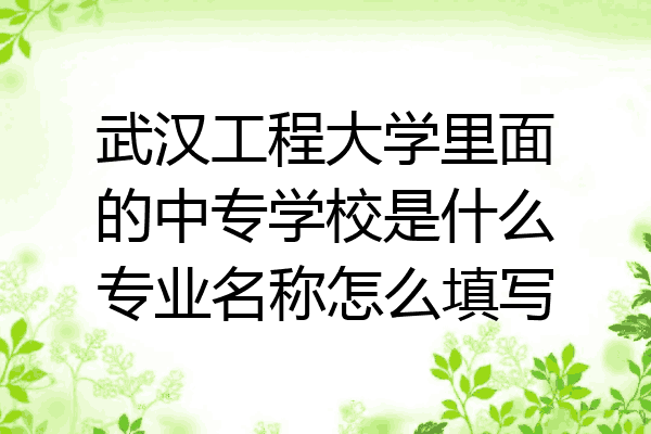 武汉工程大学里面的中专学校是什么专业名称怎么填写