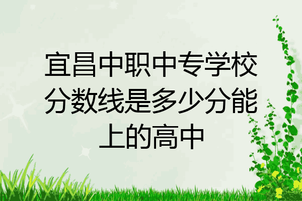 宜昌中职中专学校分数线是多少分能上的高中