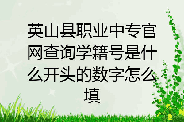 英山县职业中专官网查询学籍号是什么开头的数字怎么填