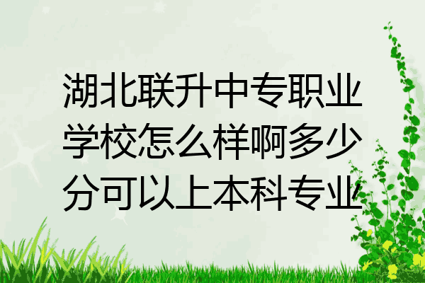 湖北联升中专职业学校怎么样啊多少分可以上本科专业