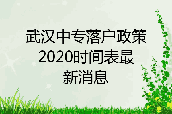 武汉中专落户政策2020时间表最新消息