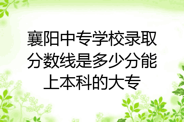 襄阳中专学校录取分数线是多少分能上本科的大专