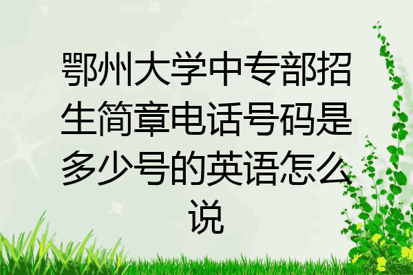 鄂州大学中专部招生简章电话号码是多少号的英语怎么说
