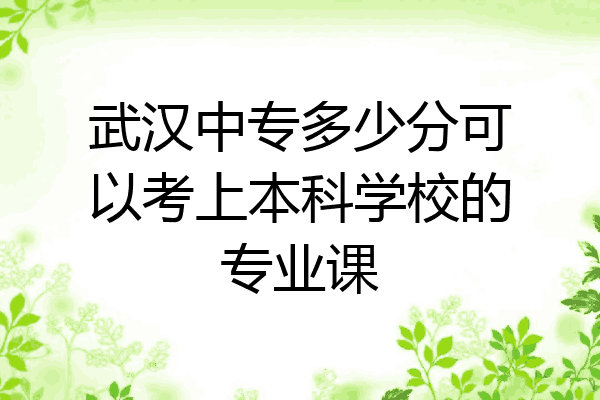 武汉中专多少分可以考上本科学校的专业课