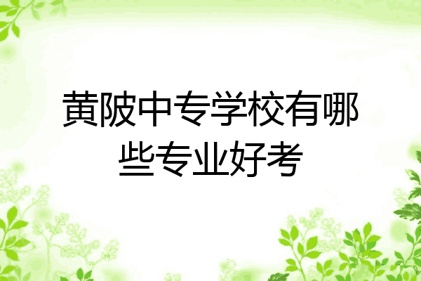 黄陂中专学校有哪些专业好考