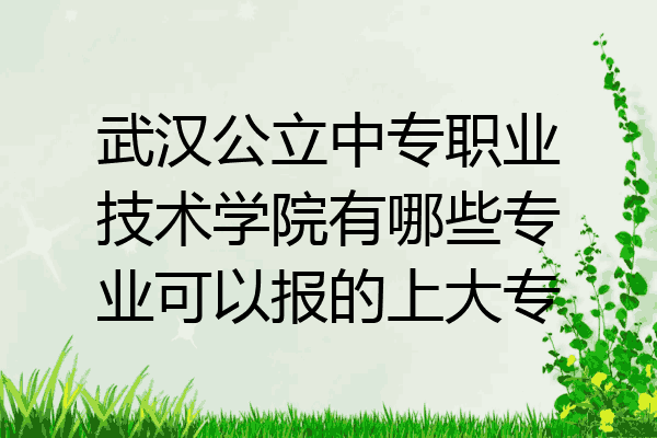 武汉公立中专职业技术学院有哪些专业可以报的上大专