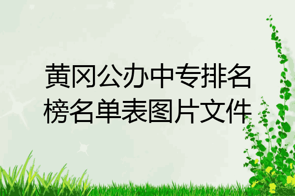 黄冈公办中专排名榜名单表图片文件