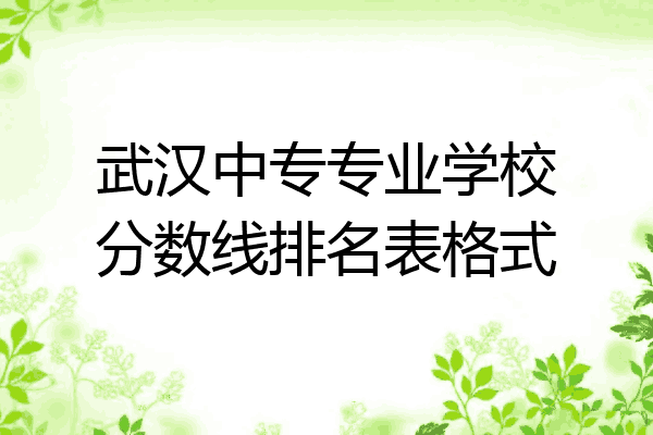 武汉中专专业学校分数线排名表格式