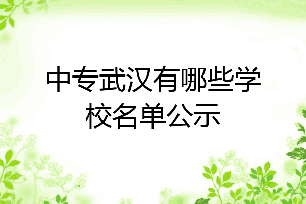 中专武汉有哪些学校名单公示