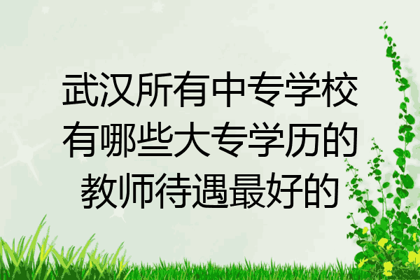 武汉所有中专学校有哪些大专学历的教师待遇最好的