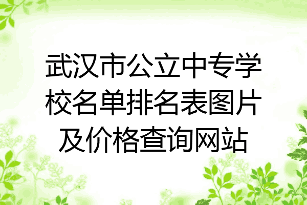 武汉市公立中专学校名单排名表图片及价格查询网站