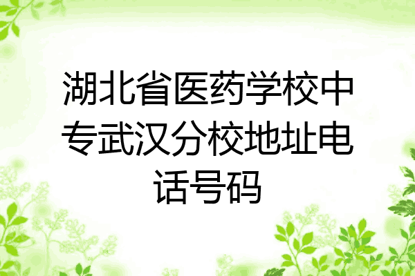 湖北省医药学校中专武汉分校地址电话号码