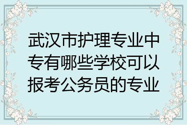 武汉市护理专业中专有哪些学校可以报考公务员的专业