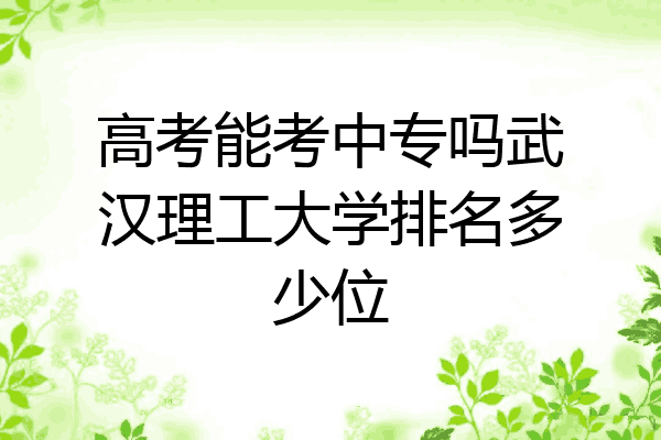 高考能考中专吗武汉理工大学排名多少位