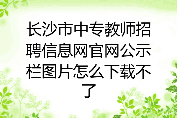 长沙市中专教师招聘信息网官网公示栏图片怎么下载不了