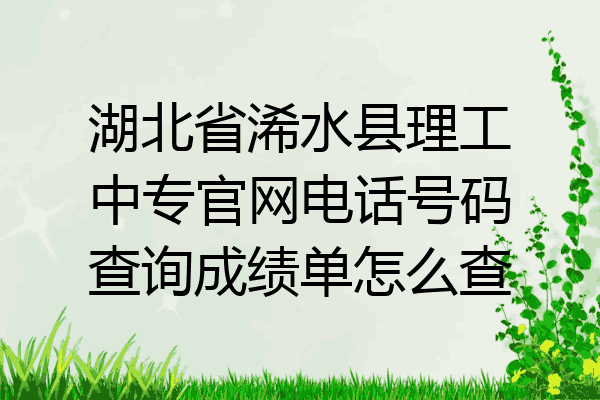 湖北省浠水县理工中专官网电话号码查询成绩单怎么查