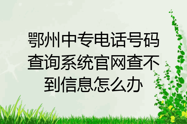 鄂州中专电话号码查询系统官网查不到信息怎么办