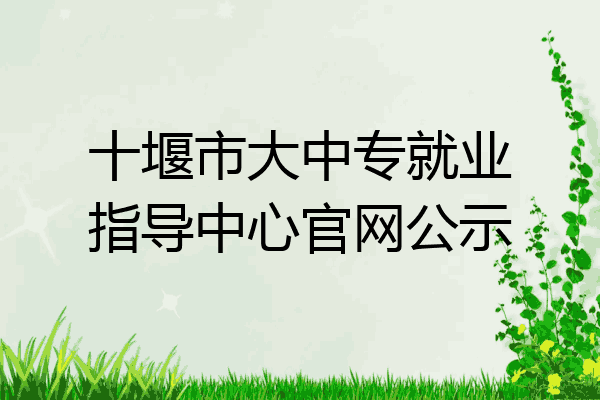 十堰市大中专就业指导中心官网公示
