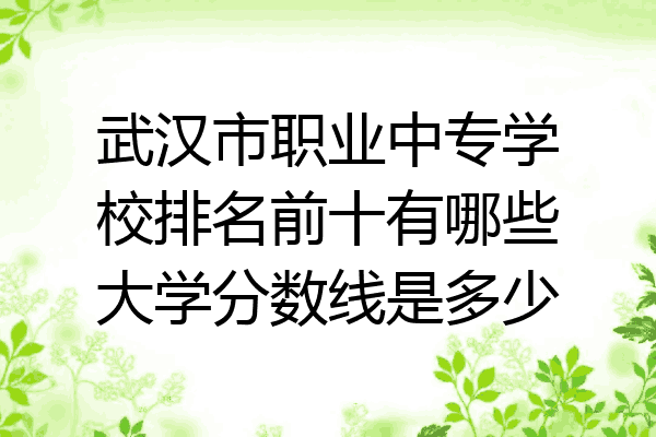 武汉市职业中专学校排名前十有哪些大学分数线是多少