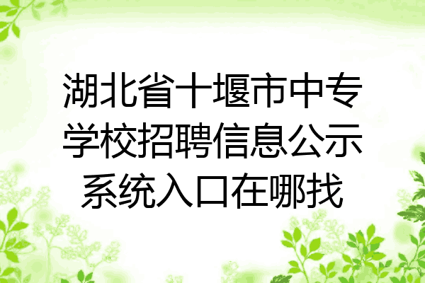 湖北省十堰市中专学校招聘信息公示系统入口在哪找