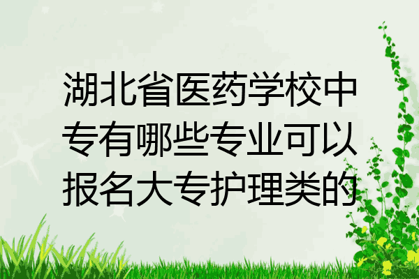 湖北省医药学校中专有哪些专业可以报名大专护理类的