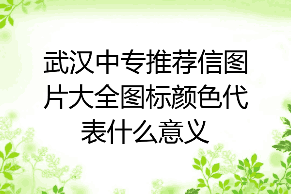 武汉中专推荐信图片大全图标颜色代表什么意义