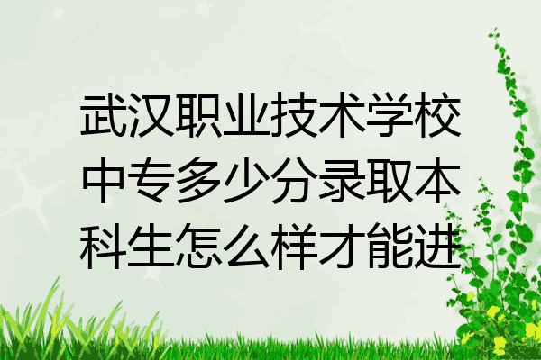 武汉职业技术学校中专多少分录取本科生怎么样才能进