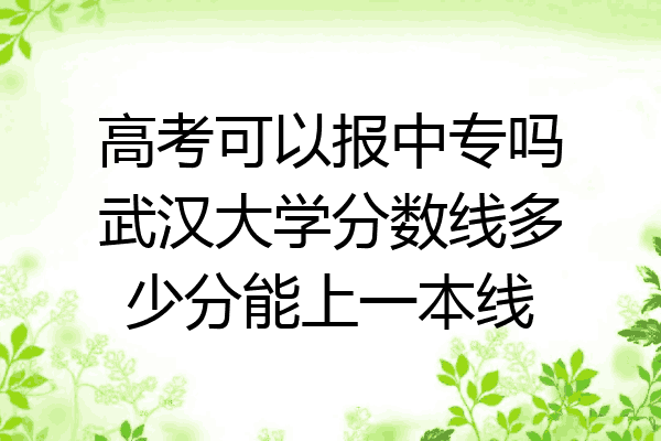 高考可以报中专吗武汉大学分数线多少分能上一本线