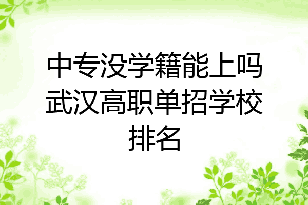 中专没学籍能上吗武汉高职单招学校排名
