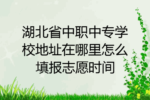 湖北省中职中专学校地址在哪里怎么填报志愿时间