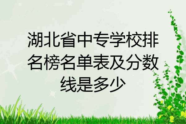 湖北省中专学校排名榜名单表及分数线是多少