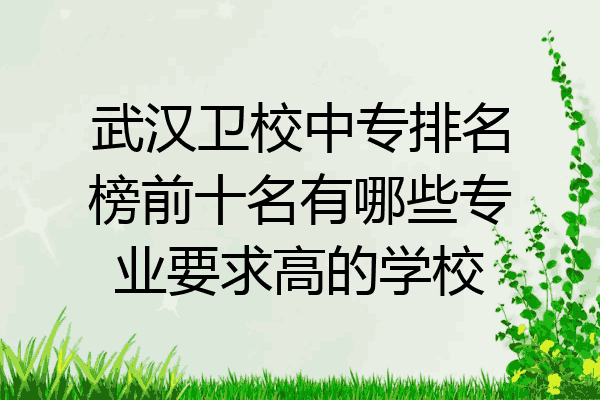 武汉卫校中专排名榜前十名有哪些专业要求高的学校