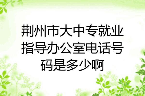 荆州市大中专就业指导办公室电话号码是多少啊
