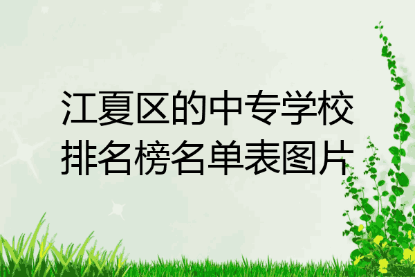 江夏区的中专学校排名榜名单表图片