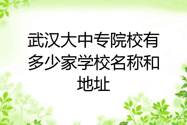 武汉大中专院校有多少家学校名称和地址