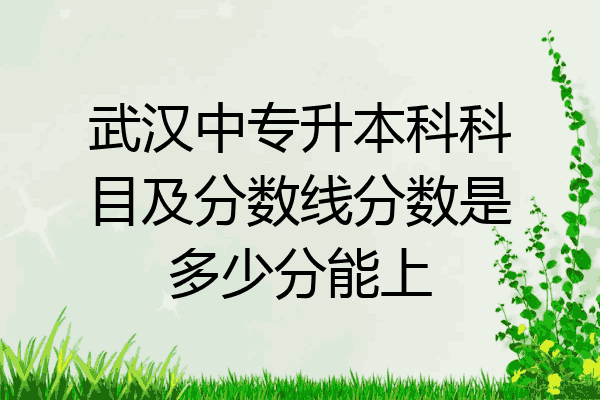 武汉中专升本科科目及分数线分数是多少分能上