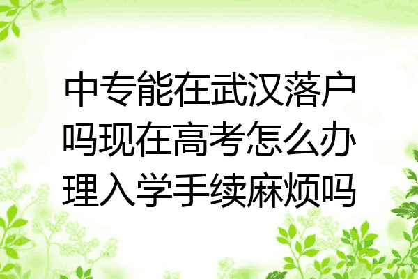 中专能在武汉落户吗现在高考怎么办理入学手续麻烦吗