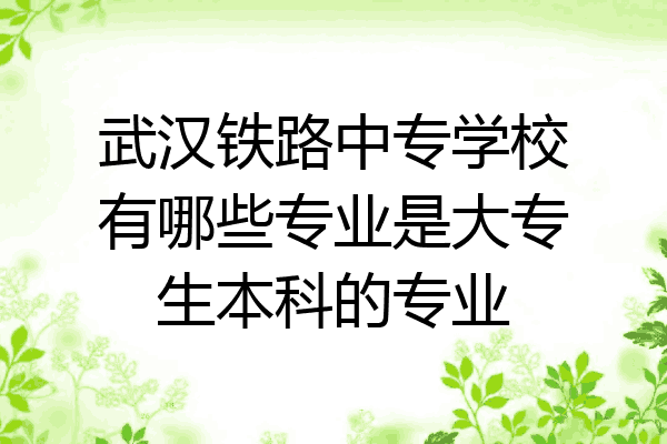 武汉铁路中专学校有哪些专业是大专生本科的专业