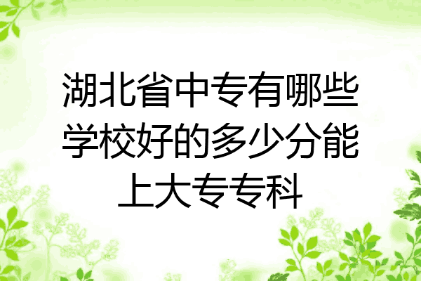 湖北省中专有哪些学校好的多少分能上大专专科