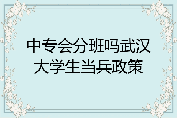 中专会分班吗武汉大学生当兵政策