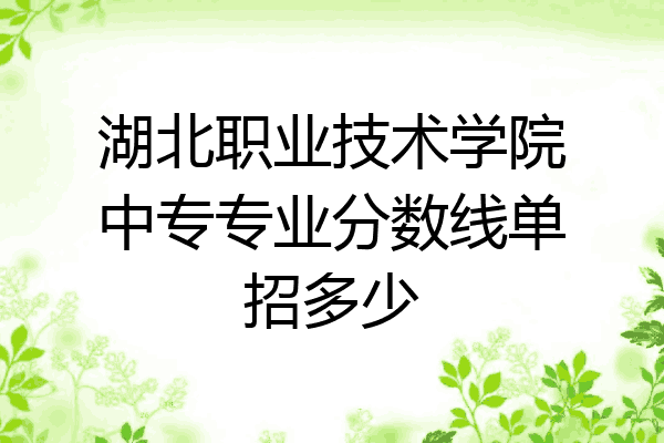 湖北职业技术学院中专专业分数线单招多少