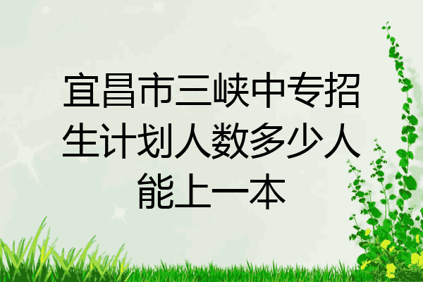 宜昌市三峡中专招生计划人数多少人能上一本