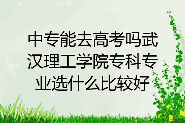 中专能去高考吗武汉理工学院专科专业选什么比较好