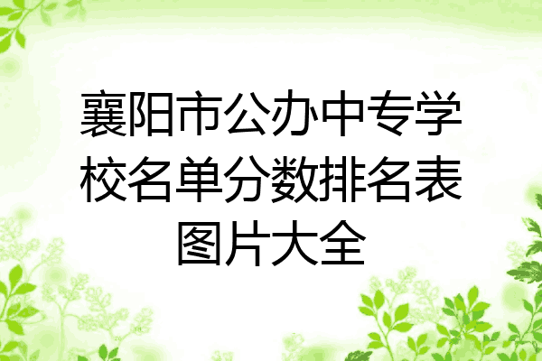 襄阳市公办中专学校名单分数排名表图片大全