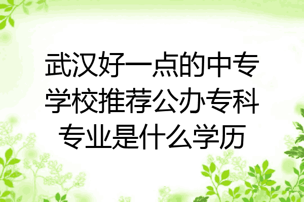武汉好一点的中专学校推荐公办专科专业是什么学历