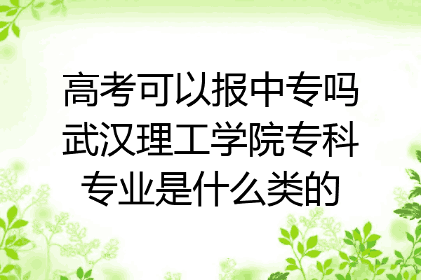 高考可以报中专吗武汉理工学院专科专业是什么类的
