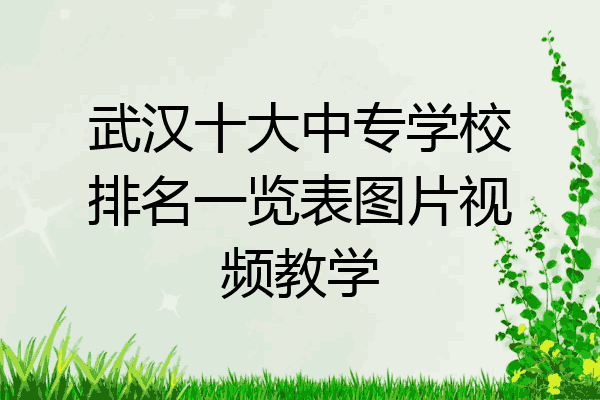 武汉十大中专学校排名一览表图片视频教学