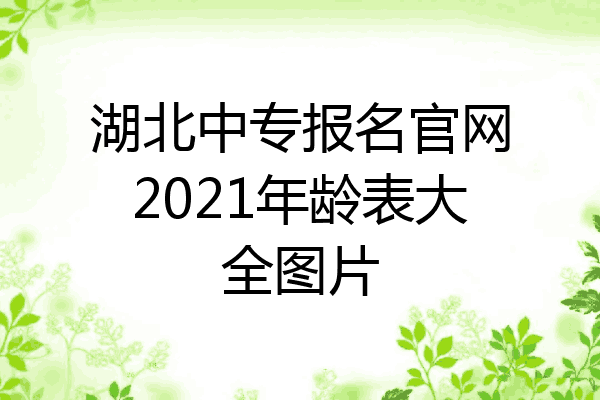 湖北中专报名官网2021年龄表大全图片